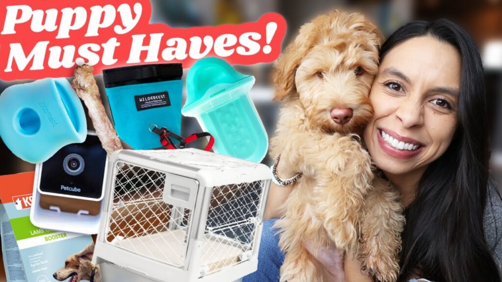 How to Stop Puppy Biting Easy Training Tips That Really Work Why Do Puppies Bite So Much?