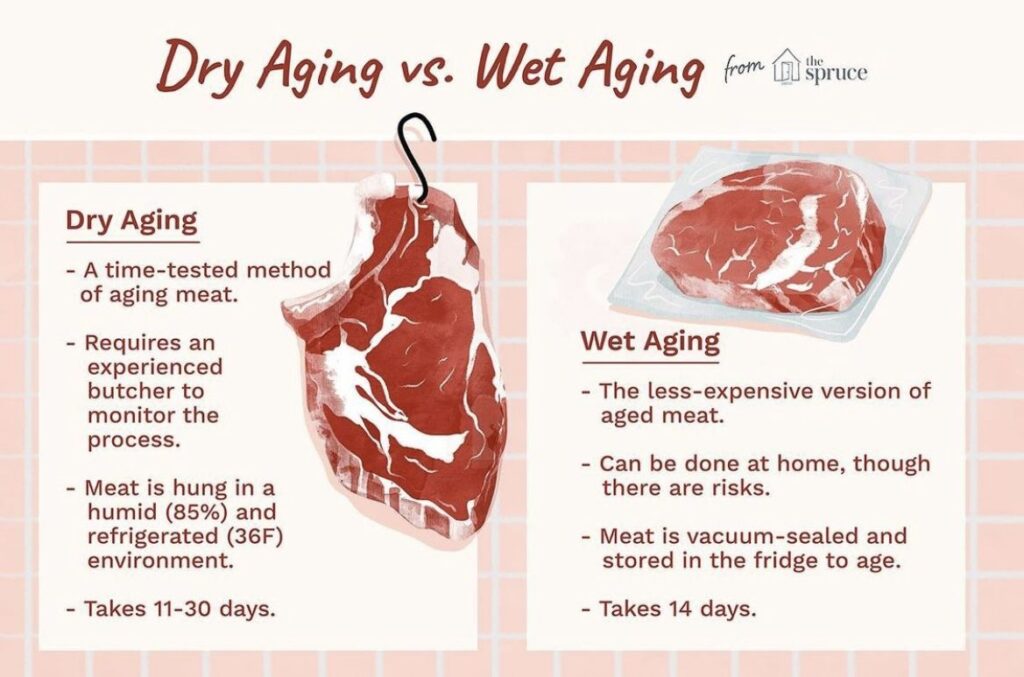 Best Food for Dogs With Kidney Disease A Simple Feeding Guide for Better Health Wet Food vs. Dry Food Which Is Better?